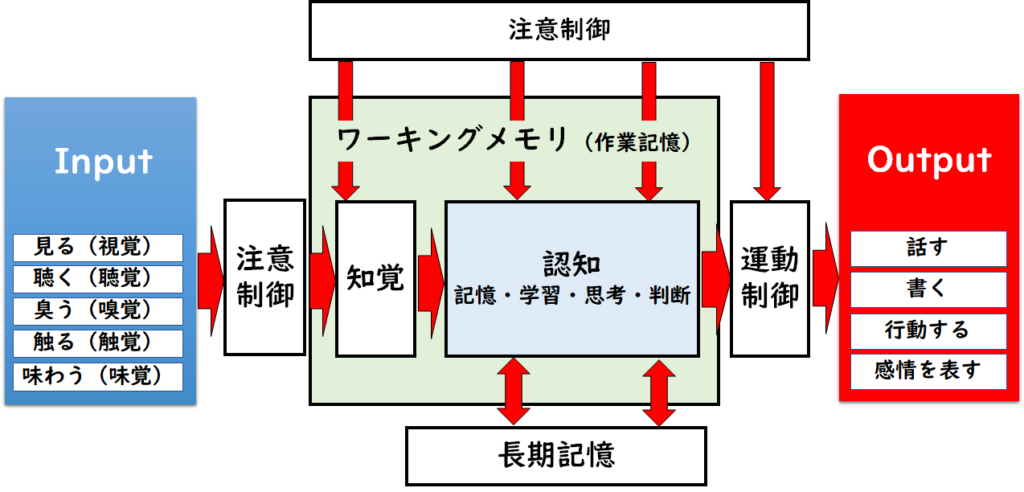 認知特性 | 認知機能の見える化プロジェクト